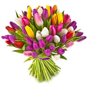 Mix barevných tulipánů