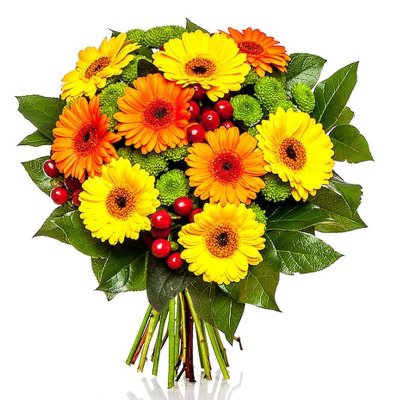 Mixed mini Gerberas