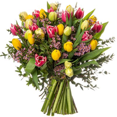 Waxflower and tulips