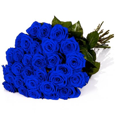 Blaue Rosen (Stück)